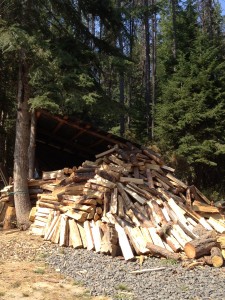 Given A Gift ~ Our mound of chopped firewood