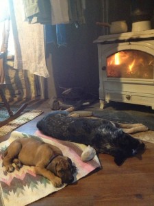 Given A Gift ~ Our furry son and daughter laying by the fire