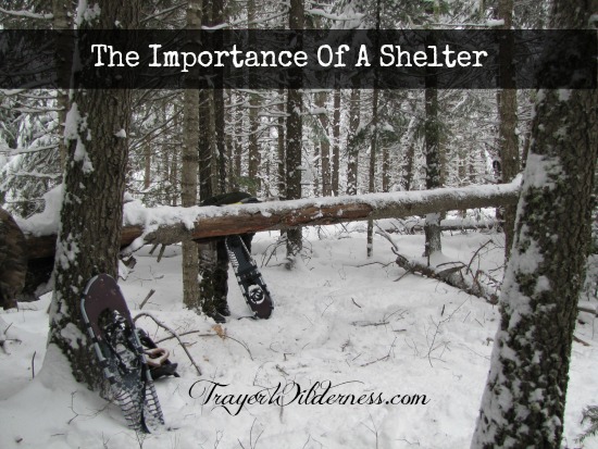 The Importance Of A Shelter